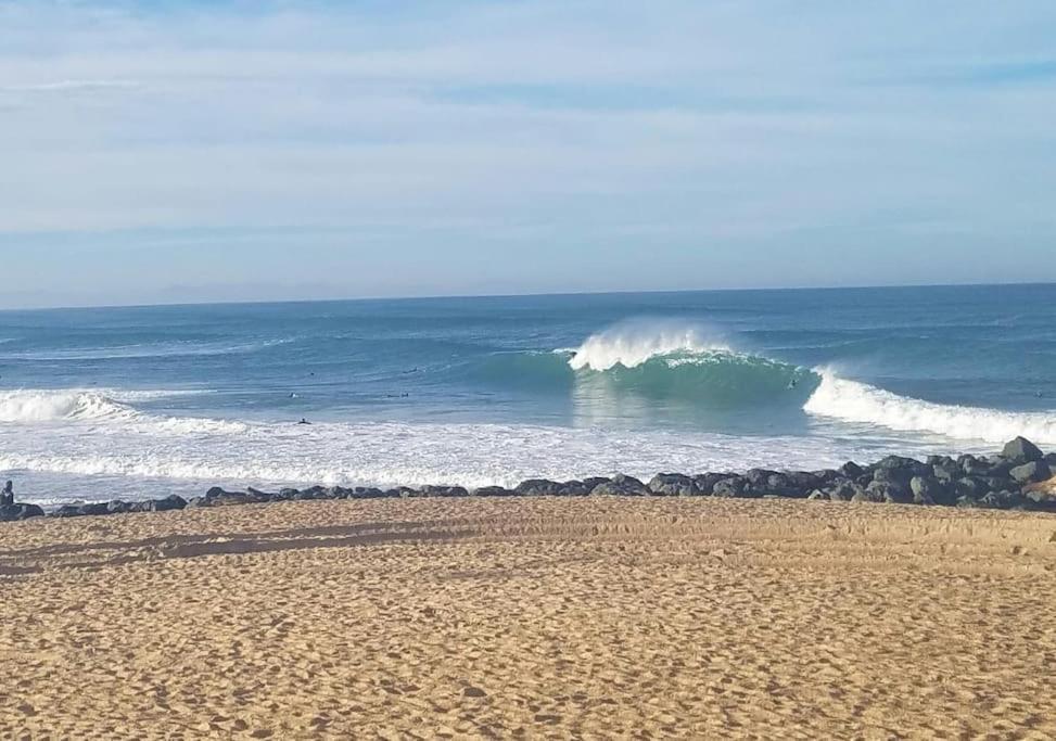 Appartement A 70M De La Plage Et L Estacade De Capbreton Exteriör bild